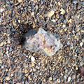 Recoger minerales en la Isla de Elba